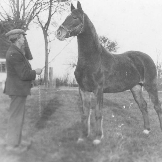 Sort-hvid foto: Mand med hest foran et stråtækt hus.