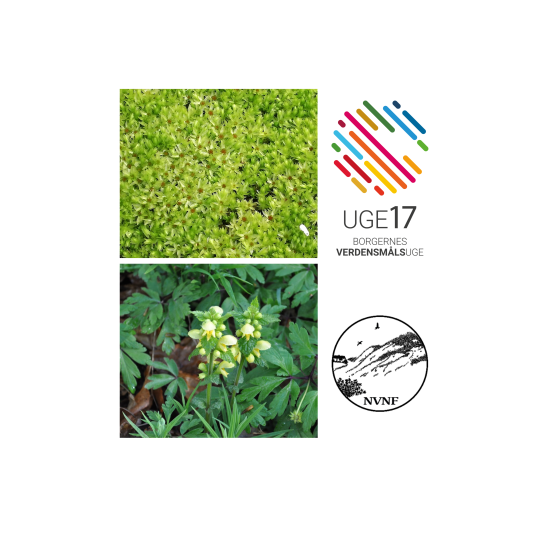 Foto af små planter og skovbund, uge 17 logo og NVNF logo.
