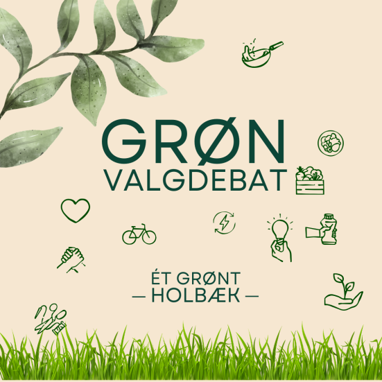 Grøn valgdebat, Et Grønt Holbæk