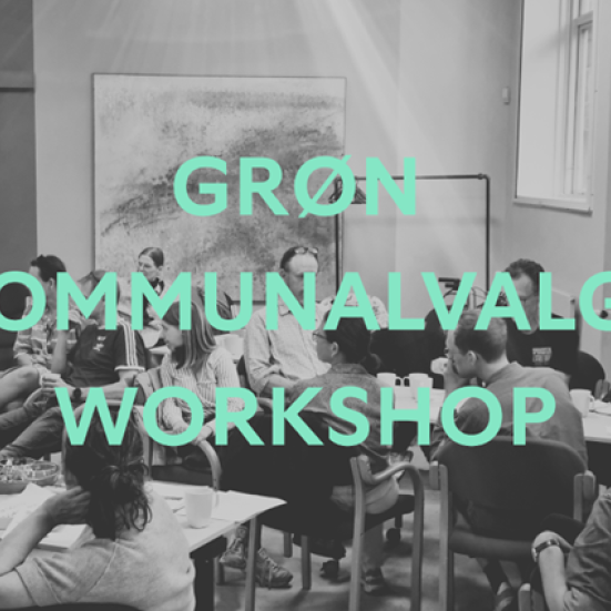Sort/hvid foto med grøn tekst: Grøn Kommunalvalgs workshop