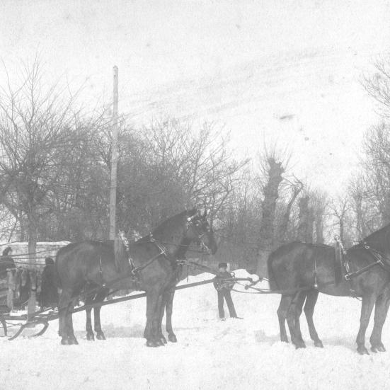 Kane i snelandsskab med firspand på Tølløsegården med grev Christian Julius William Schulin-Zeuthen og grevinde Christine