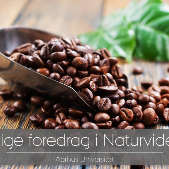 Kaffe. Offentlige foredrag i Naturvidenskab. Aarhus Universitet
