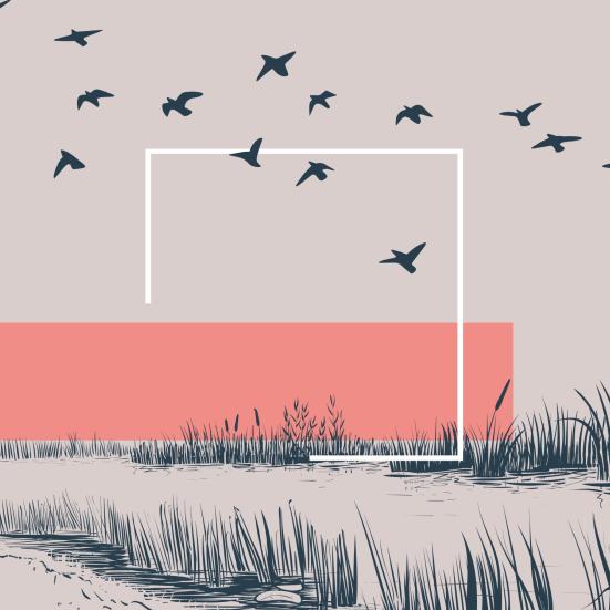 fugle, der flyver over en flod