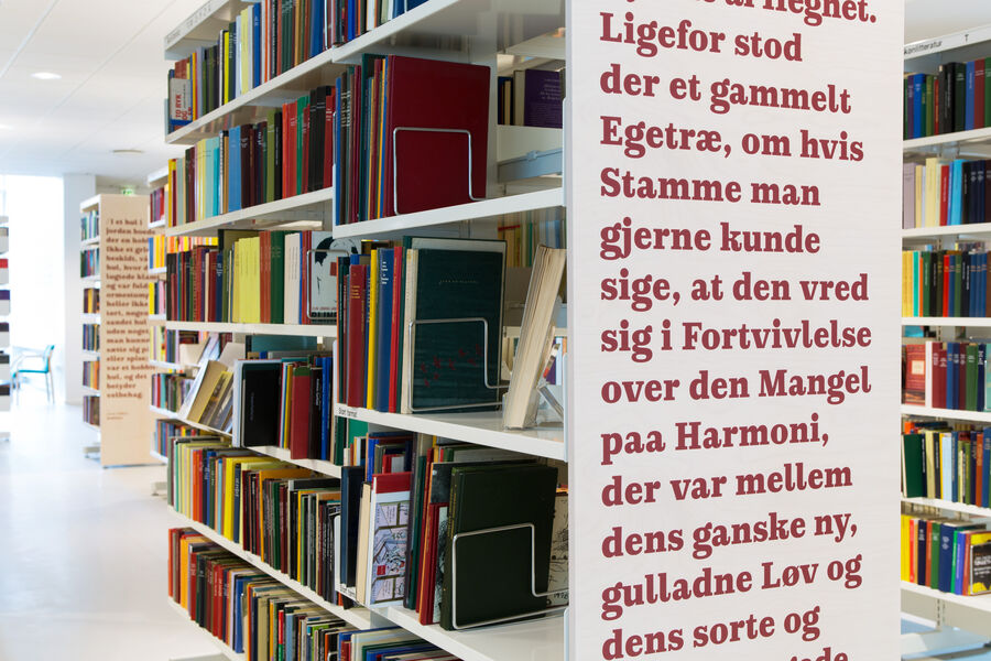 Books in Holbæk Library