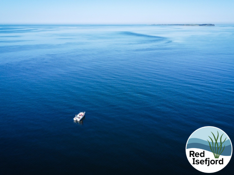 Blåt hav set fra luften med båd, der sejler mod horisonten. Foreningen Red Isefjords logo i højre hjørne.