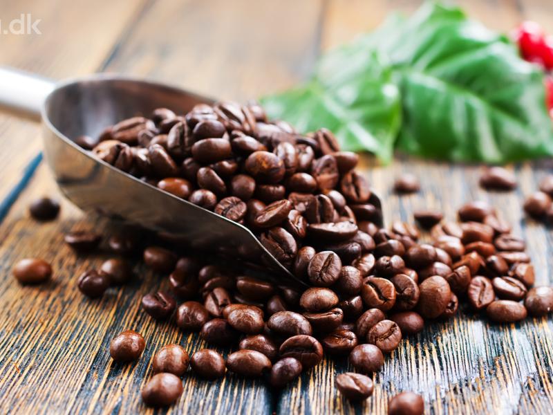 Kaffe. Offentlige foredrag i Naturvidenskab. Aarhus Universitet