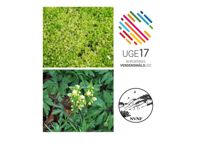 Foto af små planter og skovbund, uge 17 logo og NVNF logo.