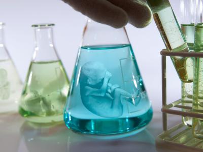 babyer i reagensglas
