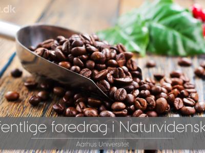 Kaffe. Offentlige foredrag i Naturvidenskab. Aarhus Universitet