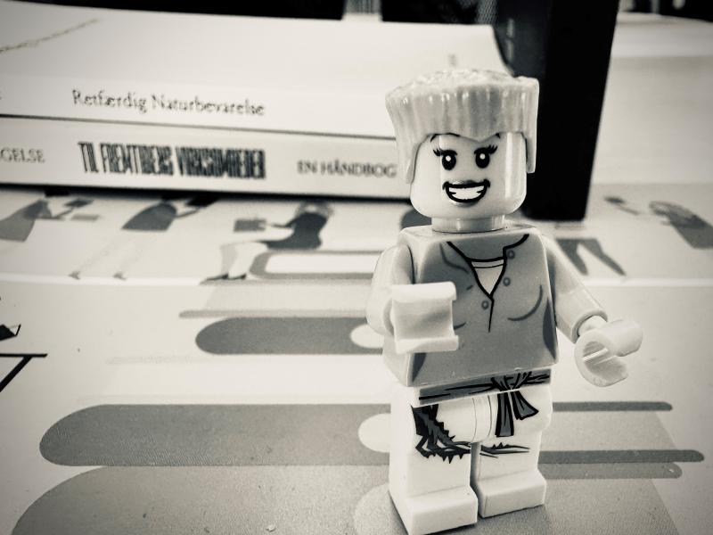 Billede af Legomand da Rasmus ikke ønsker at have portræt på.