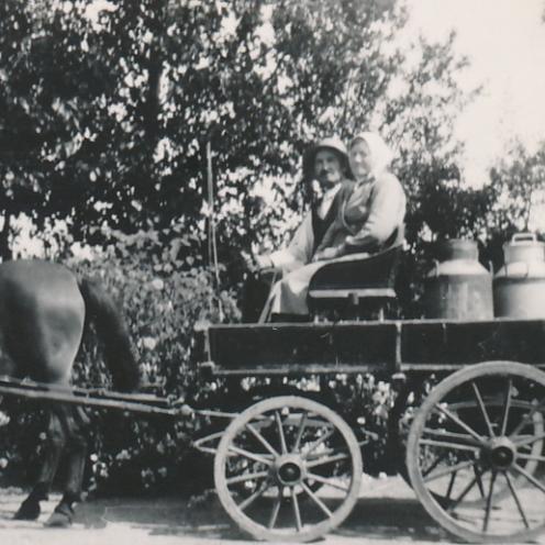Sort-hvid foto af mand og kvinde siddende i hestevogn læsset med to mælkejunger.