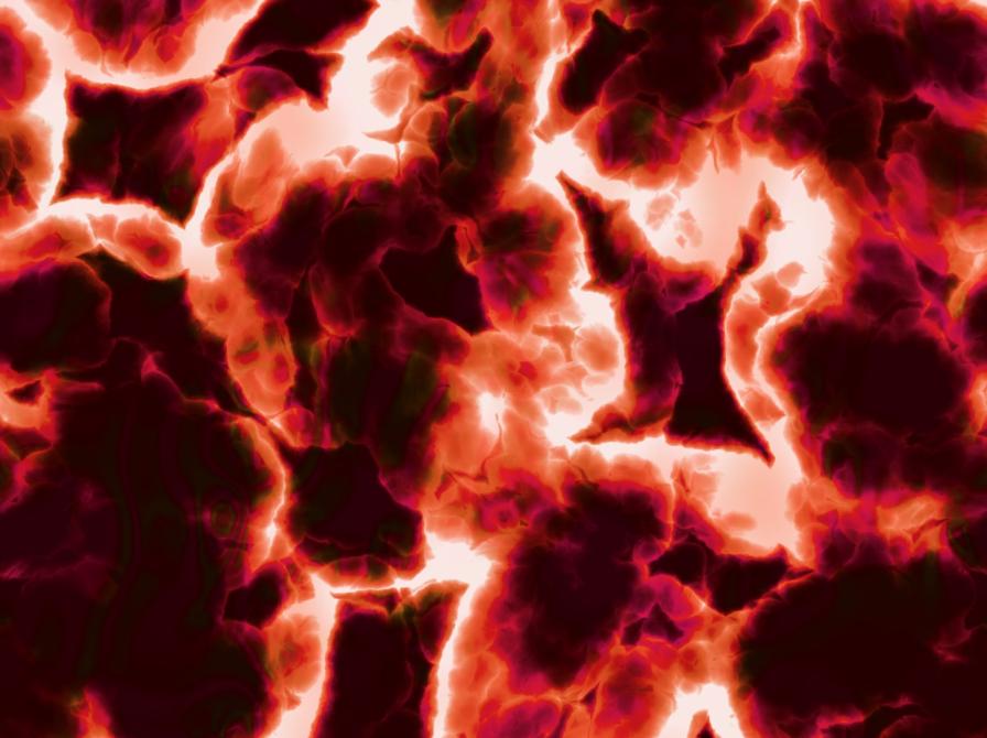 tarmmikrobiom