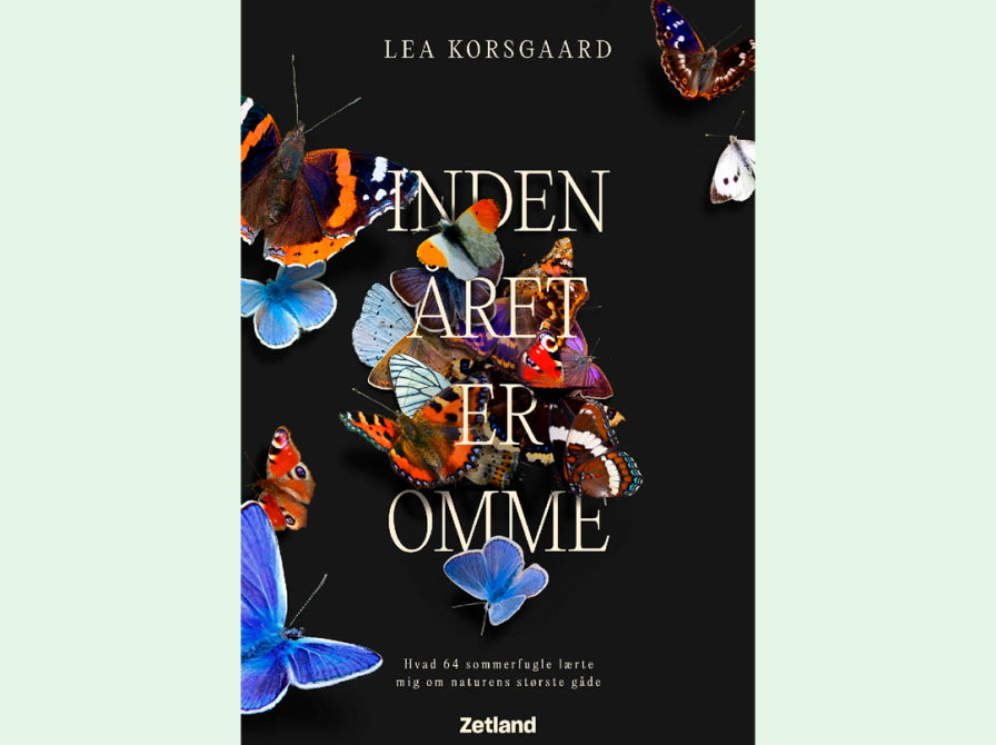 Cover af Lea Korsgaards bog "Inden året er omme"