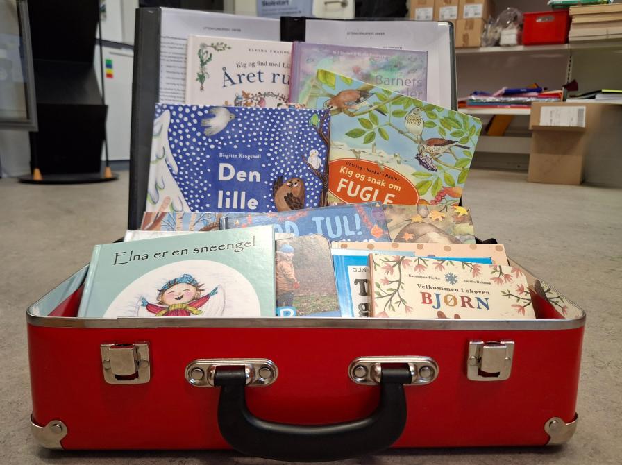 Foto af en åben kuffert fyldt med børnebøger.