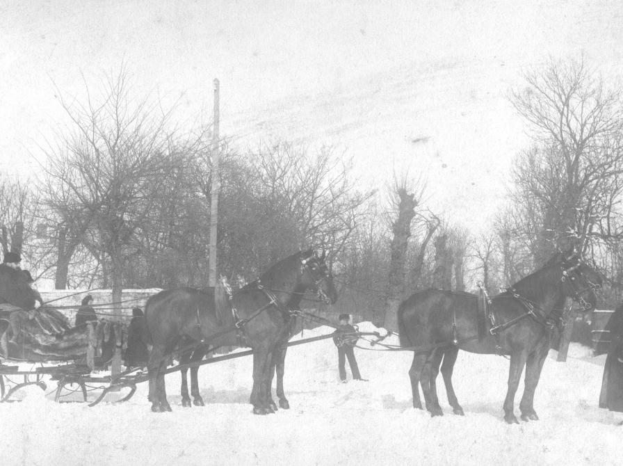 Kane i snelandsskab med firspand på Tølløsegården med grev Christian Julius William Schulin-Zeuthen og grevinde Christine