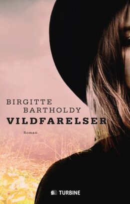 Birgitte Bartholdy: Vildfarelser